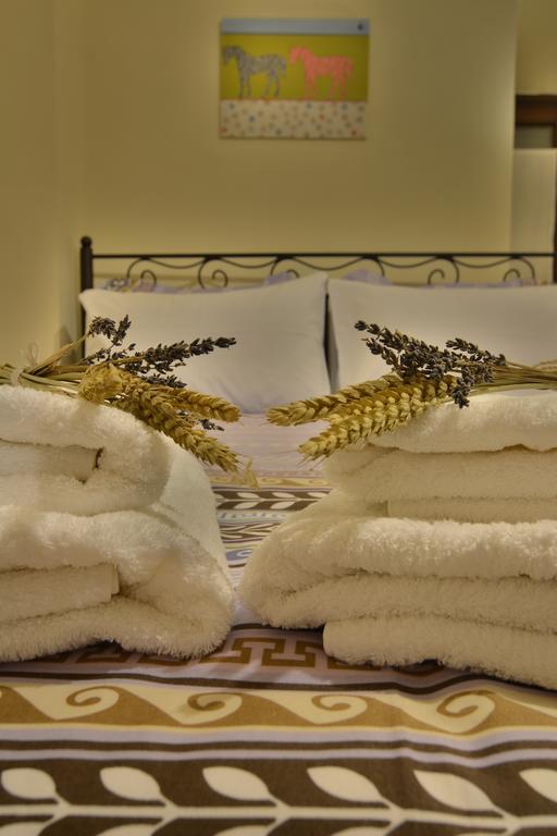Gartagani Guest House ستيمنيتسا المظهر الخارجي الصورة