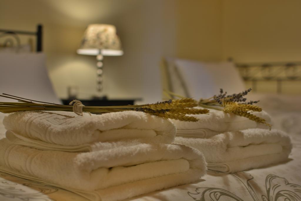 Gartagani Guest House ستيمنيتسا المظهر الخارجي الصورة